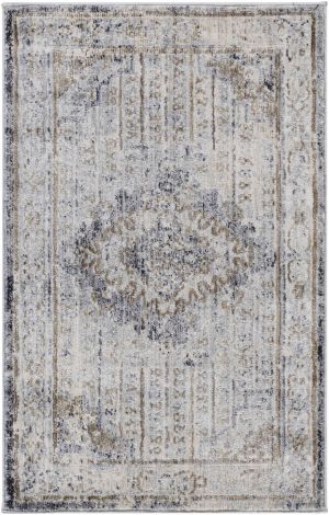 Liverpool LVP-2301 Charcoal, Medium Gray Machine Woven Traditional Area Rugs By Surya