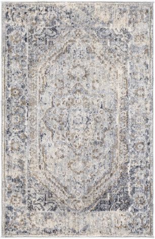 Liverpool LVP-2302 Charcoal, Medium Gray Machine Woven Traditional Area Rugs By Surya
