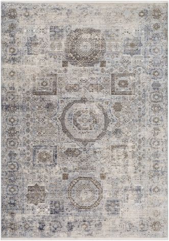 Liverpool LVP-2304 Charcoal, Medium Gray Machine Woven Traditional Area Rugs By Surya
