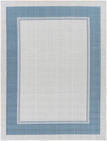 Montego bay MBY-2307 Sky Blue, Cream Machine Woven Traditional Area Rugs By Surya
