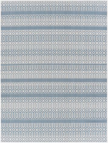 Montego bay MBY-2312 Sky Blue, Beige Machine Woven Global Area Rugs By Surya