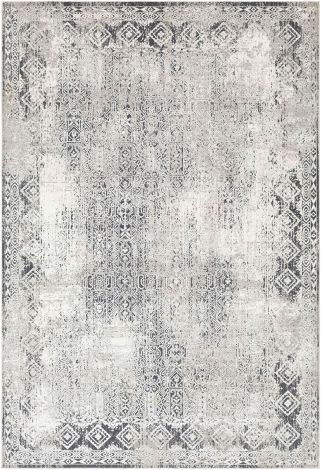 Milano MLN-2307 Light Gray, Charcoal Machine Woven Traditional Area Rugs By Surya