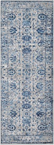 Monte Carlo MNC-2310 Light Gray, Sky Blue Machine Woven Traditional Area Rugs By Surya
