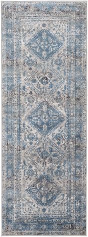 Monte Carlo MNC-2312 Light Gray, Charcoal Machine Woven Traditional Area Rugs By Surya