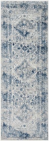 Monte Carlo MNC-2313 Sky Blue, Light Gray Machine Woven Traditional Area Rugs By Surya