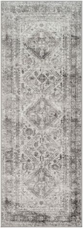 Monte Carlo MNC-2314 Light Gray, White Machine Woven Traditional Area Rugs By Surya