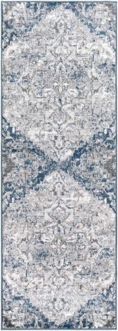 Monte Carlo MNC-2318 Sky Blue, Light Gray Machine Woven Traditional Area Rugs By Surya