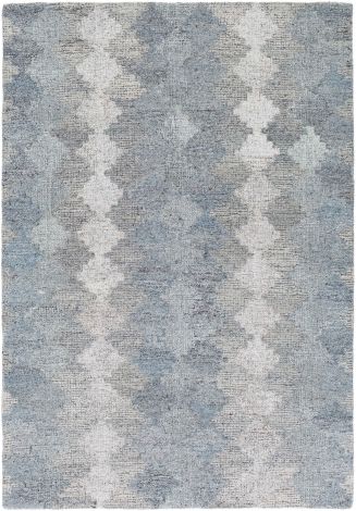 Montclair MTC-2306 Multi Color Hand Tufted Modern Area Rugs By Surya