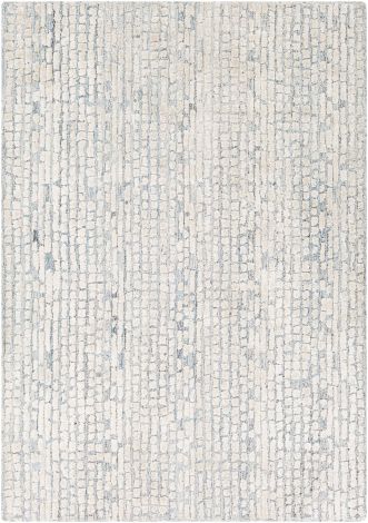 Montclair MTC-2309 Taupe, Beige Hand Tufted Modern Area Rugs By Surya