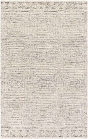 Newcastle NCS-2313 Cream, Taupe Hand Tufted Modern Area Rugs By Surya
