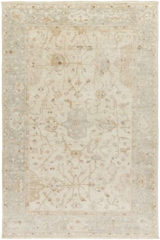 Normandy NOY-8002 Ivory, Khaki Hand Knotted Traditional Area Rugs By Surya