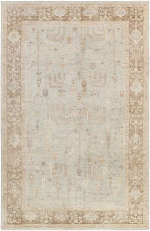 Normandy NOY-8003 Ivory, Khaki Hand Knotted Traditional Area Rugs By Surya