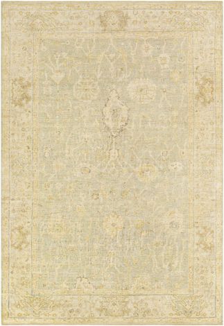Normandy NOY-8009 Khaki, Cream Hand Knotted Traditional Area Rugs By Surya