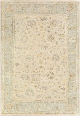 Normandy NOY-8010 Seafoam, Cream Hand Knotted Traditional Area Rugs By Surya