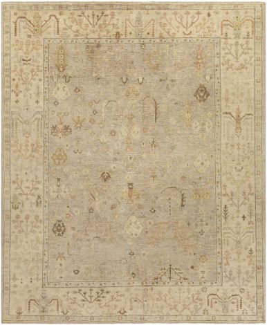 Normandy NOY-8012 Taupe, Cream Hand Knotted Traditional Area Rugs By Surya