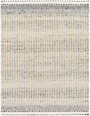 Nottingham NTM-2301 Charcoal, Medium Gray Hand Woven Cottage Area Rugs By Surya