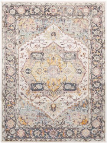 New Mexico NWM-2304 Multi Color Machine Woven Traditional Area Rugs By Surya