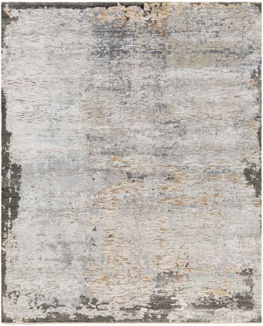 Ocean OCE-2300 Taupe, Light Gray Hand Knotted Modern Area Rugs By Surya