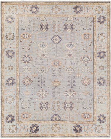 Palais PAL-2301 Pale Blue, Tan Hand Knotted Traditional Area Rugs By Surya