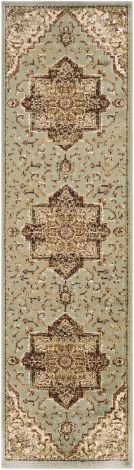 Paramount PAR-1080 Sage, Dark Red Machine Woven Traditional Area Rugs By Surya