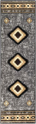 Paramount PAR-1094 Charcoal, Medium Gray Machine Woven Rustic Area Rugs By Surya