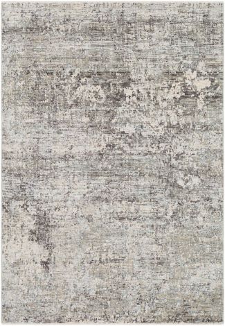 Presidential PDT-2303 Pale Blue, Medium Gray Machine Woven Modern Area Rugs By Surya