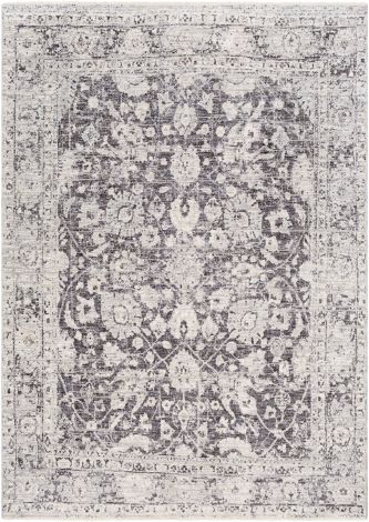 Presidential PDT-2313 Multi Color Machine Woven Traditional Area Rugs By Surya