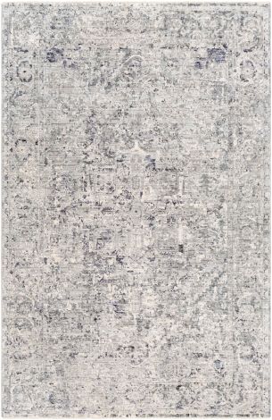 Presidential PDT-2321 Medium Gray, Bright Blue Machine Woven Traditional Area Rugs By Surya