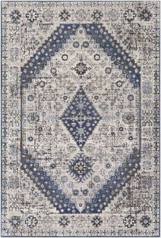 Porto POO-2300 White, Light Gray Machine Woven Traditional Area Rugs By Surya