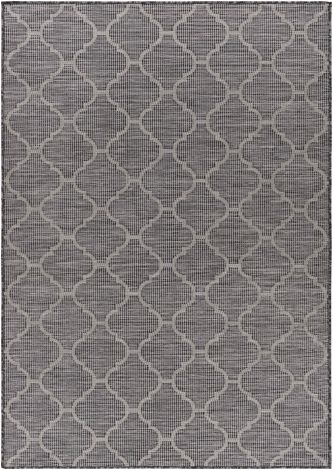 Pasadena PSA-2339 Charcoal, Black Machine Woven Traditional Area Rugs By Surya
