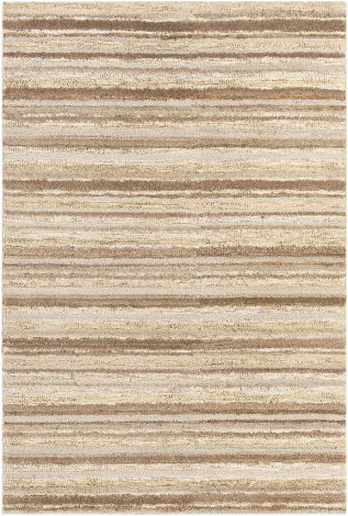 Petra PTR-2301 Dark Brown, Tan Hand Woven Traditional Area Rugs By Surya