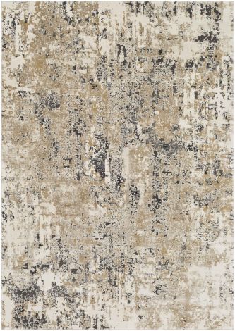 Pune PUN-2300 Multi Color Machine Woven Modern Area Rugs By Surya