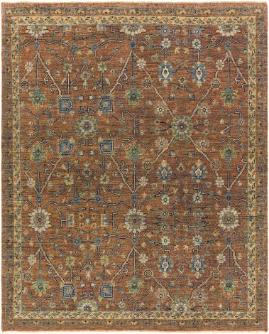 Reign REG-2301 Dark Brown, Camel Hand Knotted Traditional Area Rugs By Surya