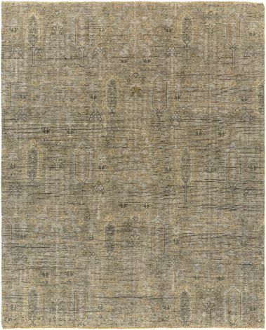 Reign REG-2302 Sage, Camel Hand Knotted Traditional Area Rugs By Surya