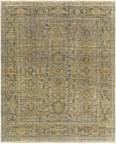 Reign REG-2305 Khaki, Black Hand Knotted Traditional Area Rugs By Surya