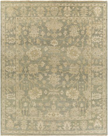 Reign REG-2306 Dark Green, Khaki Hand Knotted Traditional Area Rugs By Surya