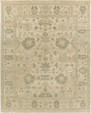 Reign REG-2307 Sage, Camel Hand Knotted Traditional Area Rugs By Surya