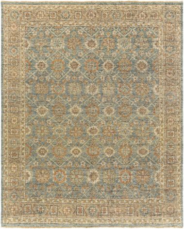 Reign REG-2308 Sage, Camel Hand Knotted Traditional Area Rugs By Surya