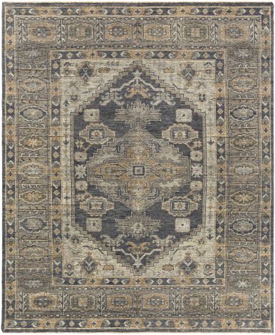 Reign REG-2309 Charcoal, Medium Gray Hand Knotted Traditional Area Rugs By Surya