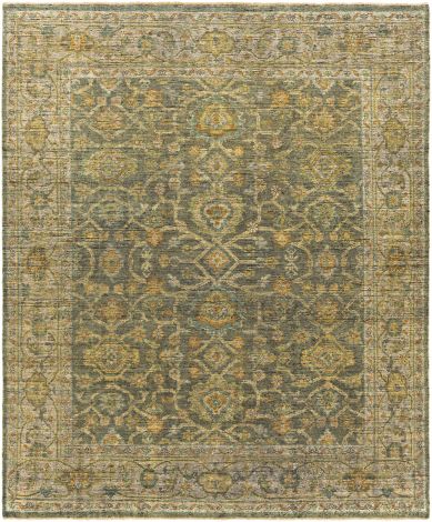 Reign REG-2310 Sage, Camel Hand Knotted Traditional Area Rugs By Surya