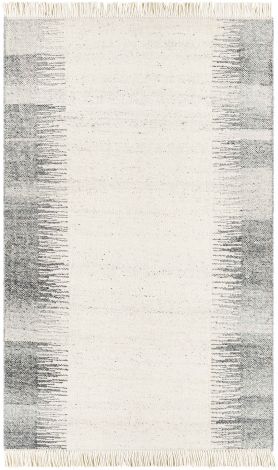 Reliance RLI-2307 Beige, Charcoal Hand Woven Modern Area Rugs By Surya