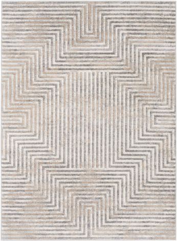 Remy RMY-2307 Taupe, Medium Gray Machine Woven Modern Area Rugs By Surya