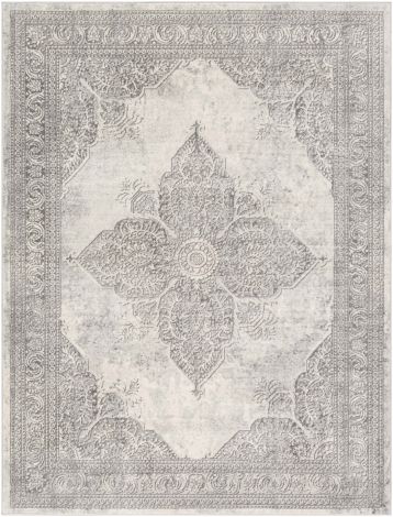 Roma ROM-2304 White, Light Gray Machine Woven Traditional Area Rugs By Surya