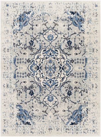 Roma ROM-2357 Cream, Sky Blue Machine Woven Traditional Area Rugs By Surya
