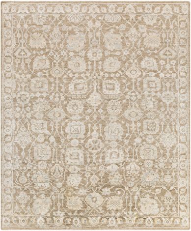 Royal RYL-2303 Khaki, Beige Hand Knotted Traditional Area Rugs By Surya