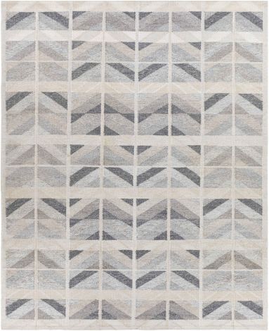 Scandi SCD-2301 Charcoal, Tan Hand Knotted Modern Area Rugs By Surya