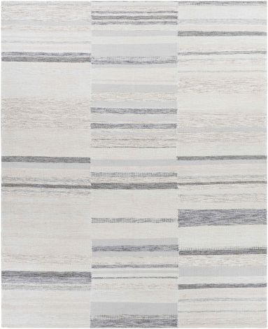 Scandi SCD-2305 Charcoal, Medium Gray Hand Knotted Modern Area Rugs By Surya