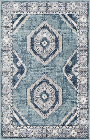 Sloan SLL-2307 Machine Woven Traditional Area Rugs By Surya