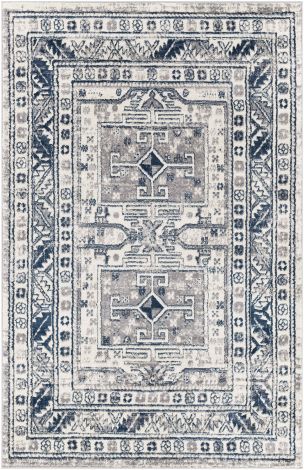 Sloan SLL-2312 Machine Woven Traditional Area Rugs By Surya