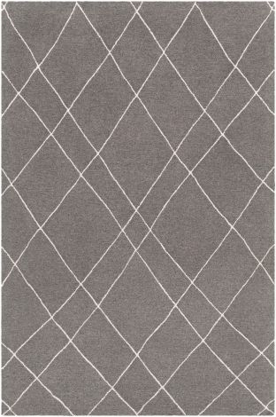 Sinop SNP-2305 Charcoal, Cream Hand Tufted Global Area Rugs By Surya